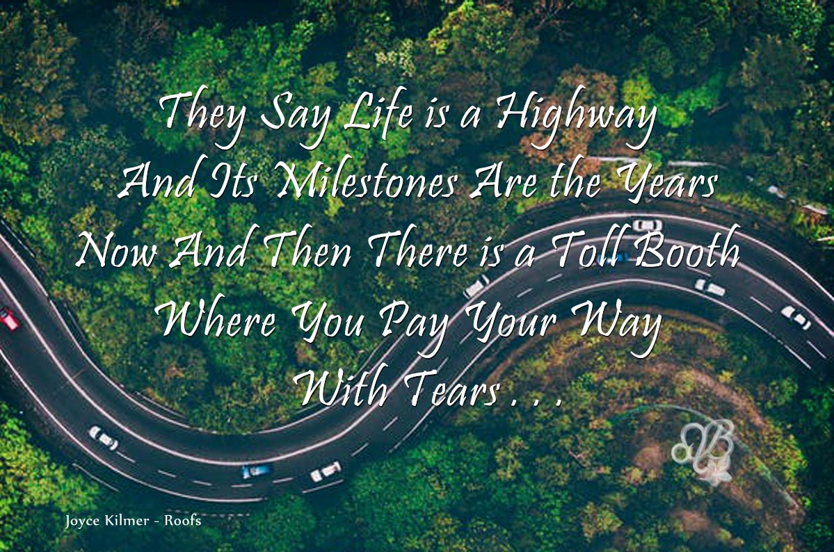 life_hwy_new8